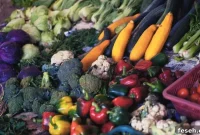 Maximize Flavor and Shelf Life of Your Fresh Produce