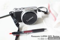 Panasonic Lumix GM1 Review: Why Photographers Love It