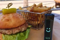 Nima’s Hawaii Adventure: Insider Tips for First-Time Visitors