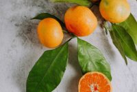 Plant-Based Collagen Alternatives: Benefits, Sources & Supplements