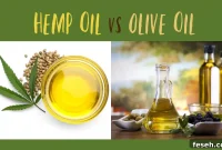 Hemp Oil vs Olive Oil: Benefits, Uses, and Which to Choose