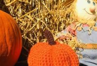 Charming Crochet Pumpkin Pattern: Step-by-Step Guide for Fall Decor