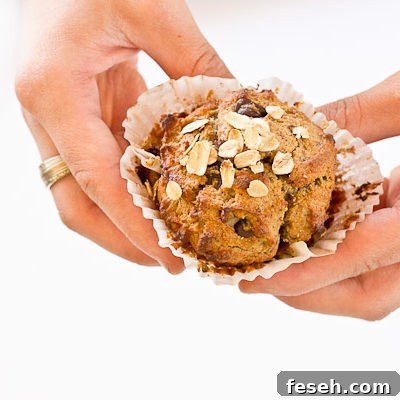 These Almond Butter Banana Oat Muffins are moist, satisfying, and have an delicious almond butter banana flavor. There is just enough chocolate in every bite to satisfy a sweet tooth. Flourless and gluten free.