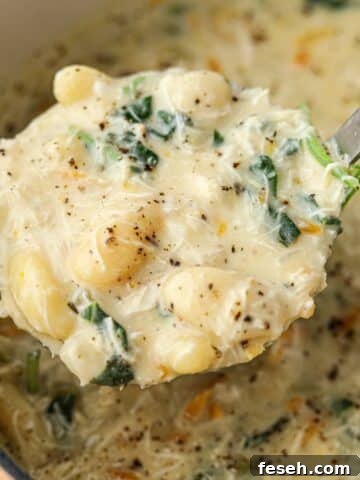 A soup ladle filled with a creamy chicken soup.