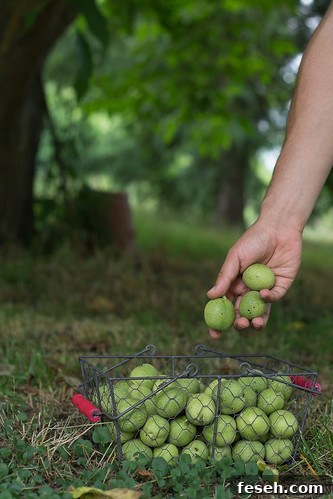 Walnuts