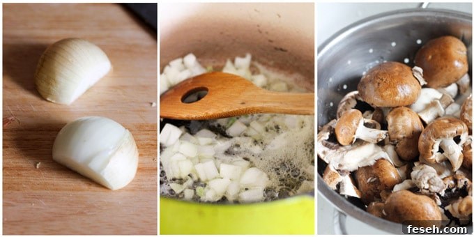 Process shots of making the Hungarian mushroom soup