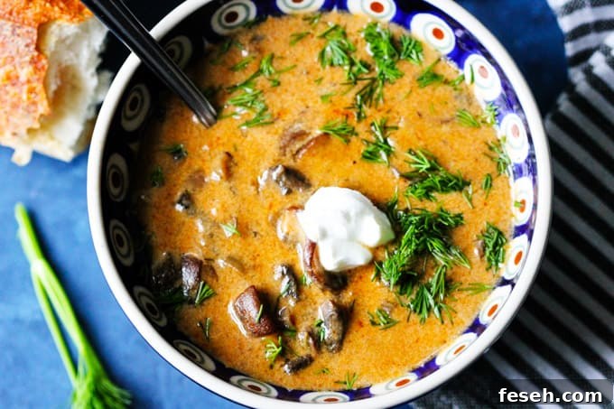 Hungarian Soup with mushrooms and dill in a bowl