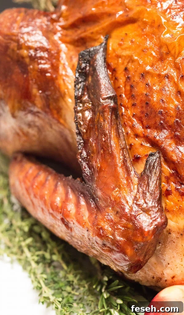 Brown turkey wing on red wine brined turkey.