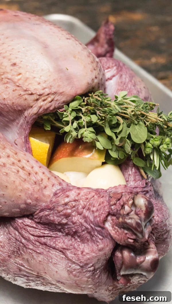 Raw turkey with purple skin that's been brined in red wine.