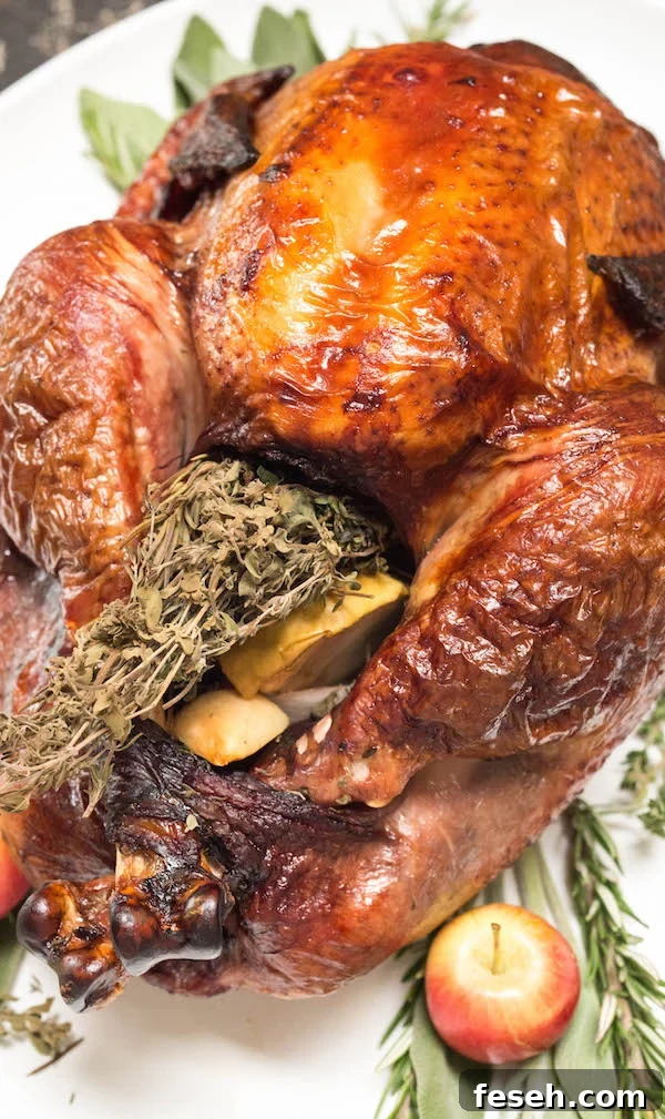 Red wine turkey stuffed with herbs and fruit on a white platter.