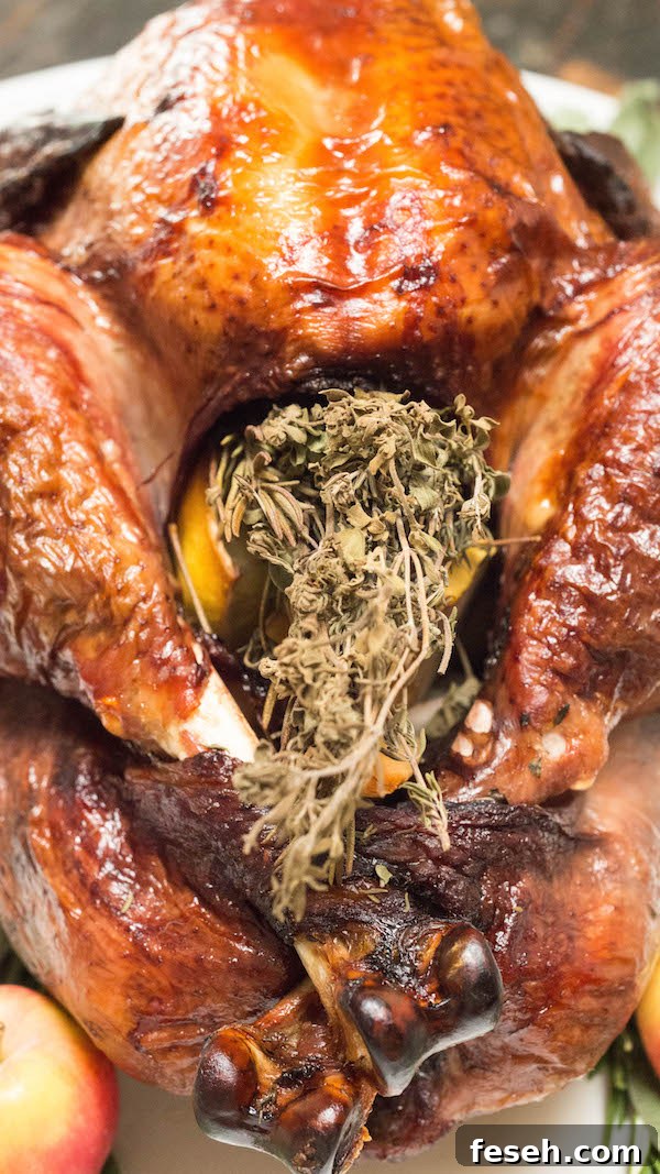 Red Wine Brined Turkey stuffed with an herb bundle and coarsely chopped fruit.