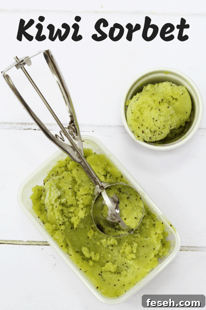 Kiwi sorbet pin image