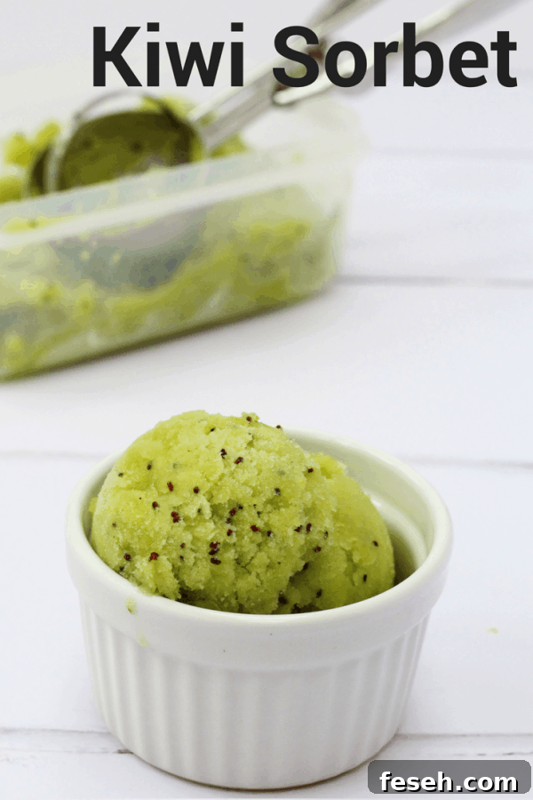 Kiwi sorbet pin image 