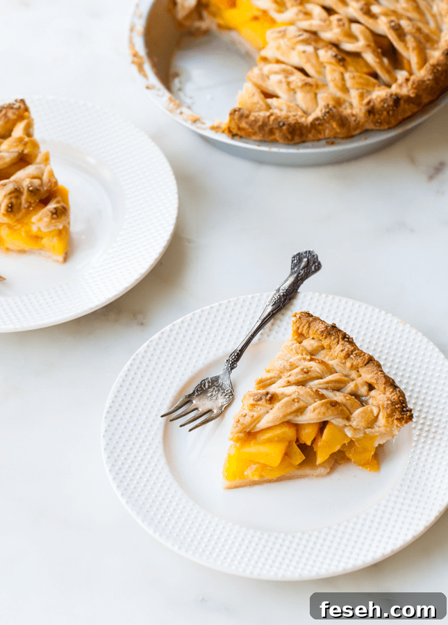 Cinnamon Peach Pie with Braid Crust, by Style Sweet CA // FoodNouveau.com