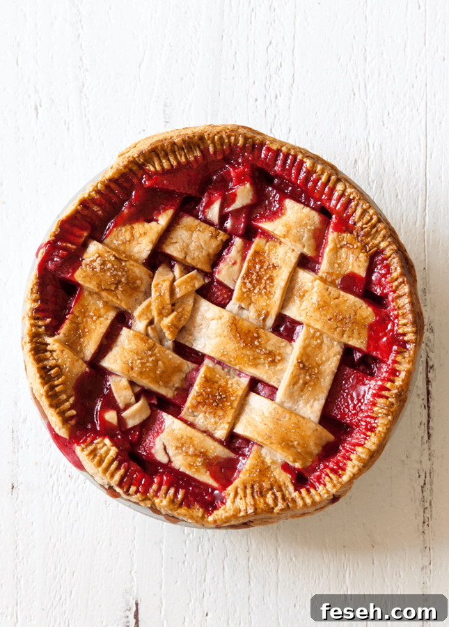 Rhubarb Berry Pie, by Style Sweet CA // FoodNouveau.com