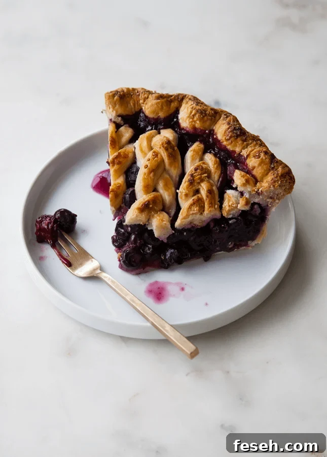 Black and Blueberry Pie, by Style Sweet CA // FoodNouveau.com