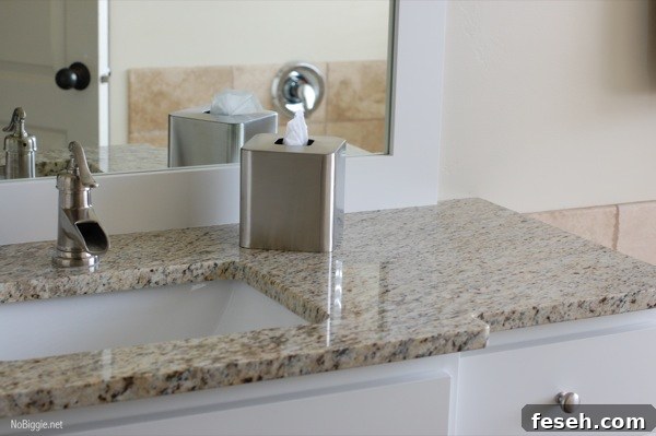 bathroom vanity after pictures NoBiggie.net