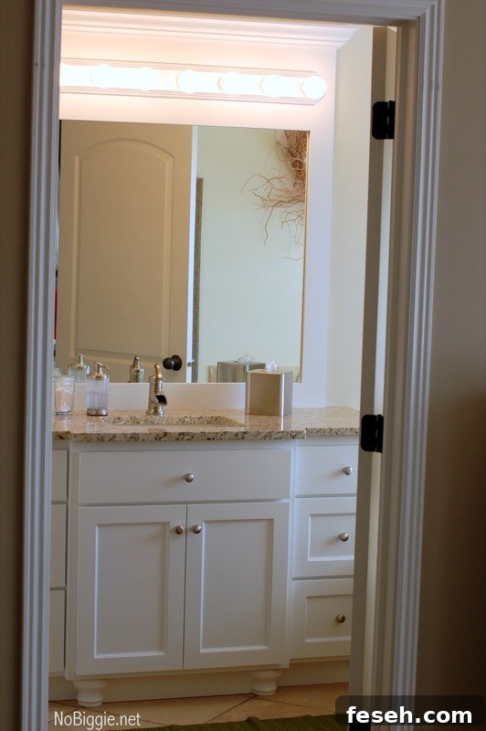 master bathroom redo - NoBiggie.net