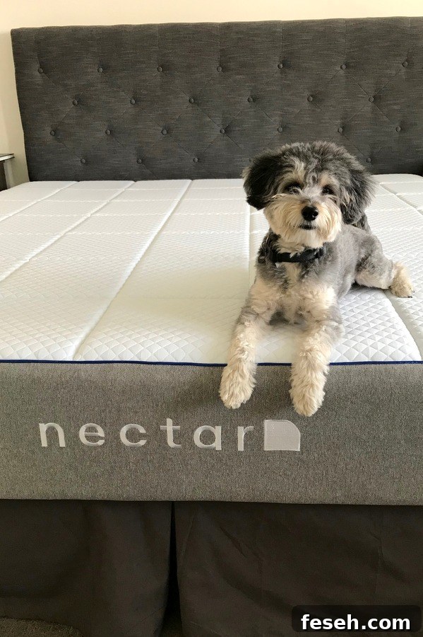 Nectar Mattress Review
