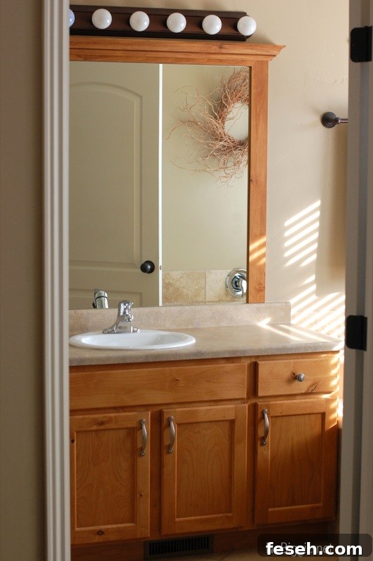 master bathroom before NoBiggie.net