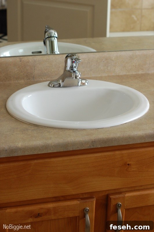 master bathroom sink - before - NoBiggie.net