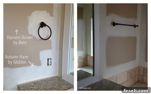 bathroom redo NoBiggie.net