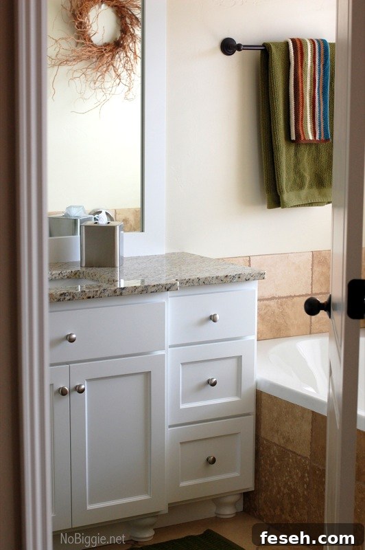 bathroom vanity after picture - NoBiggie.net