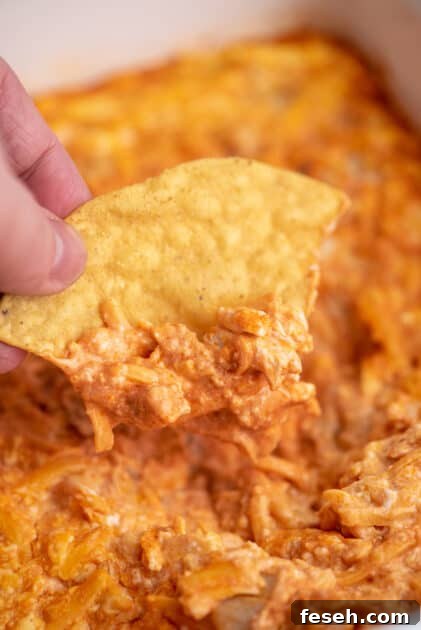 Chip covered in buffalo chicken dip.