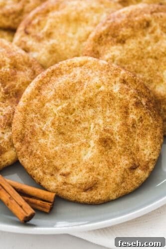 Batch of snickerdoodle cookies