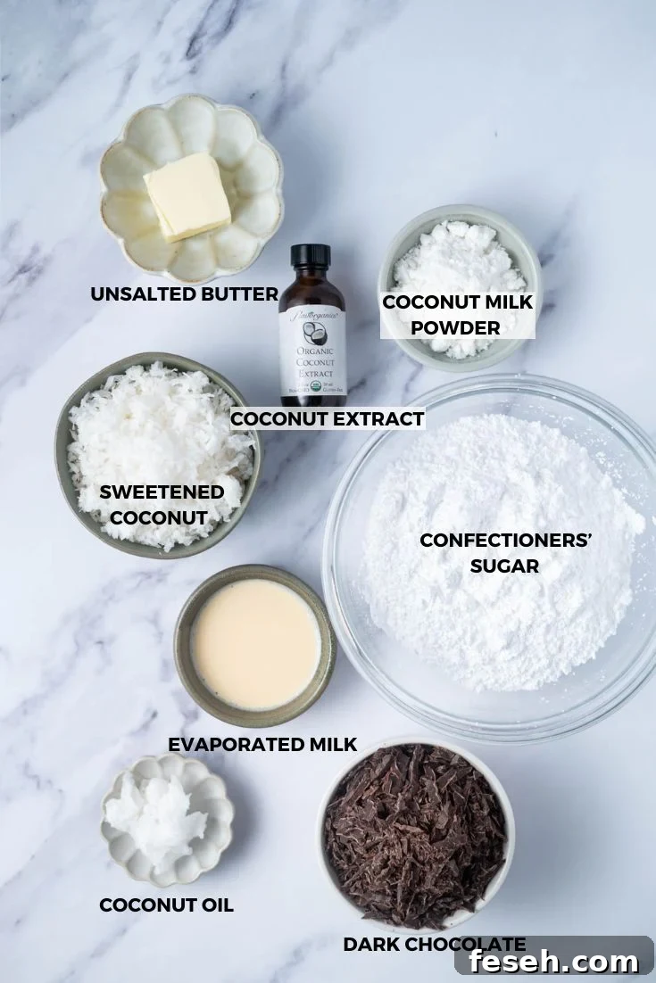 ingredients for coconut patties