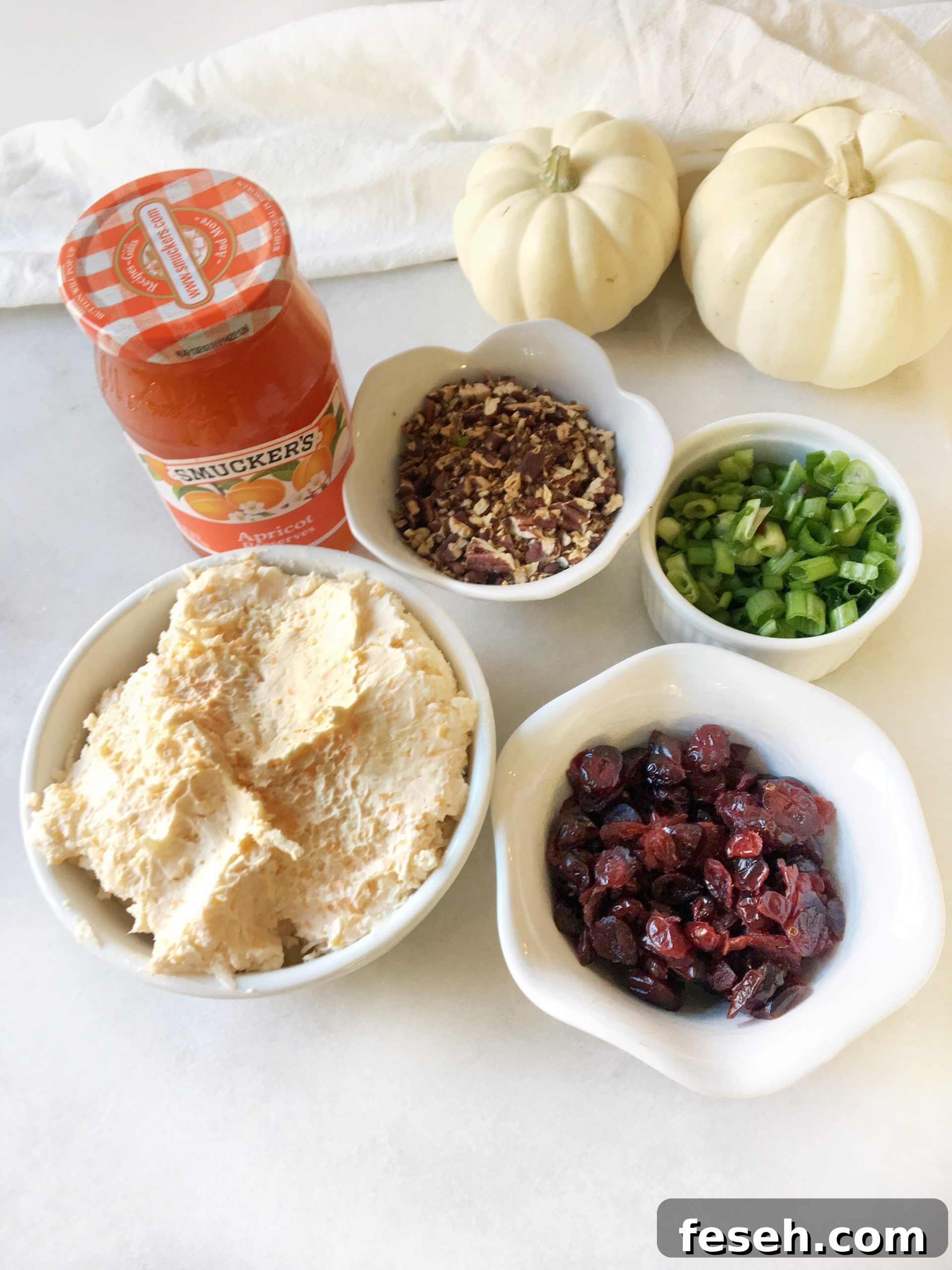 cheese blend, apricot preserves, toasted pecans, green onions and dried cranberries in bowls
