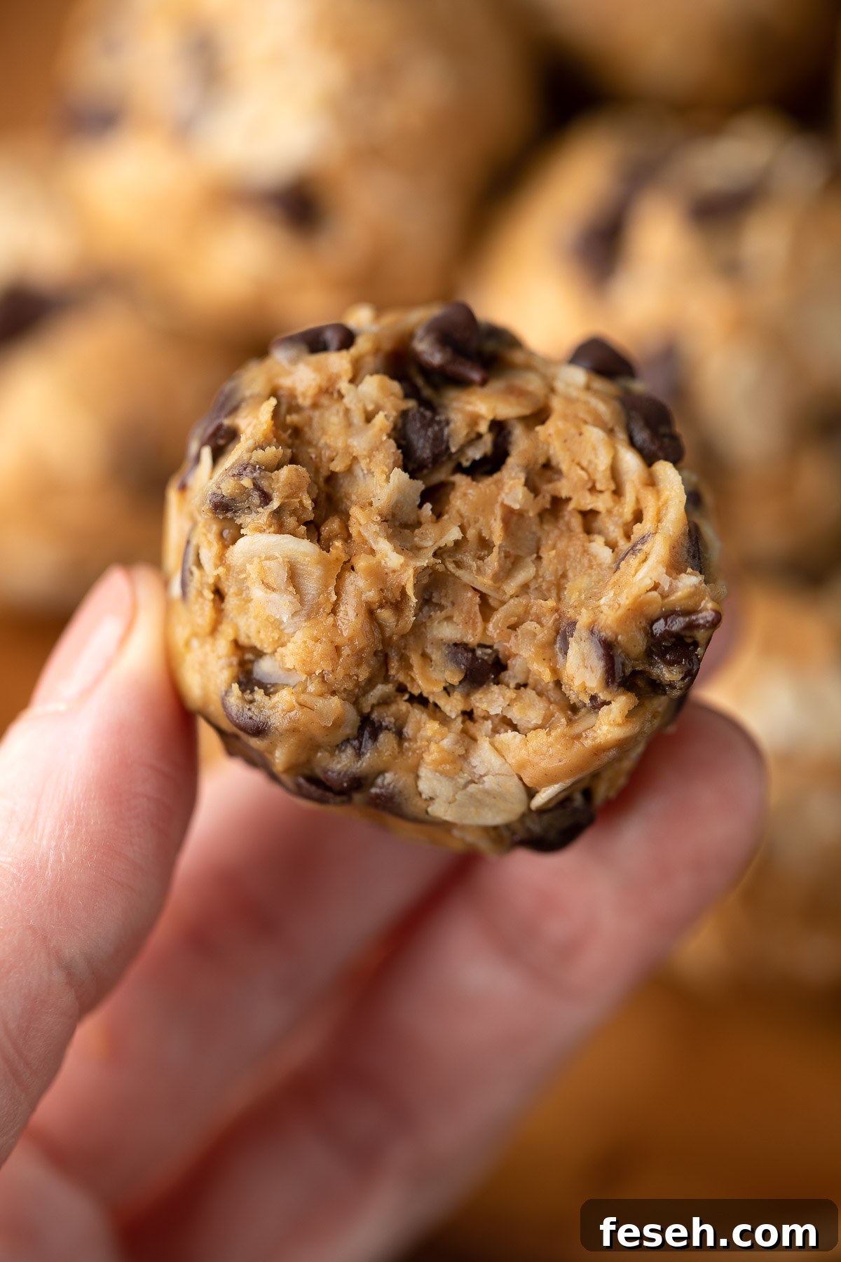 Peanut Butter Energy Bites Bite Shot