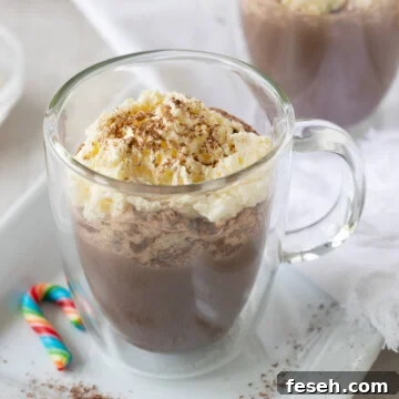 Glass mug of hot chocolate with whipped cream.