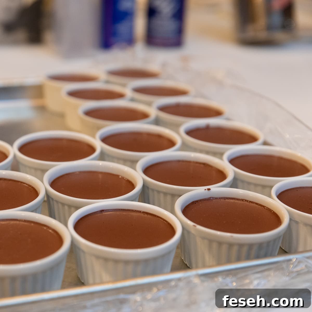 A tray of white ramekins filled with bittersweet chocolate pudding. 