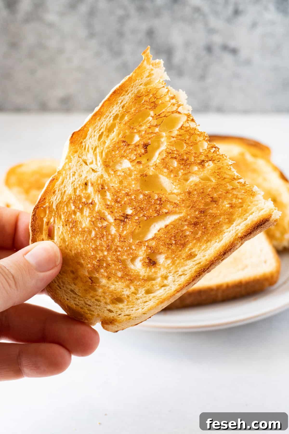 holding a piece of toasted bread from the oven in hand.