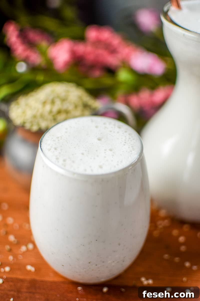 Homemade Hemp Seed Milk by Emily Kyle Nutrition