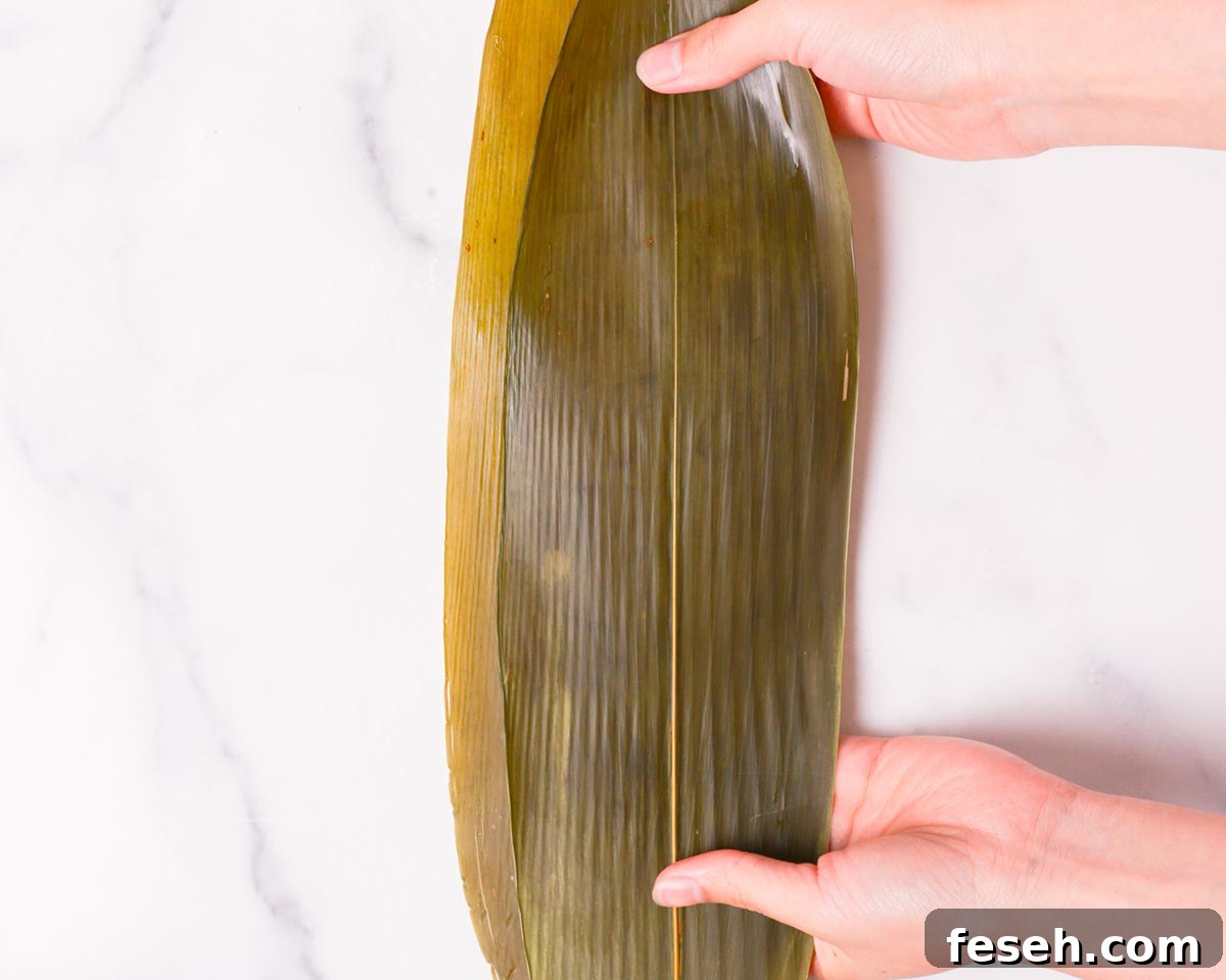 Placing two bamboo leaves together.