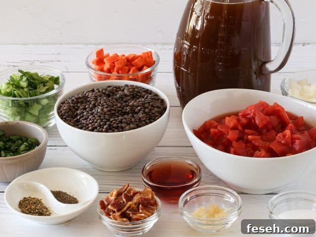 Lentil soup ingredients