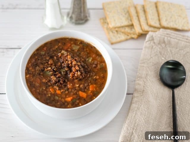 Bowl of lentil soup not garnished.