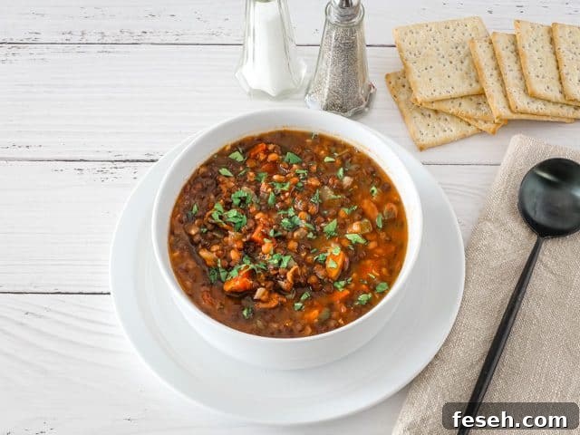 Bowl of lentil soup garnished with parsley