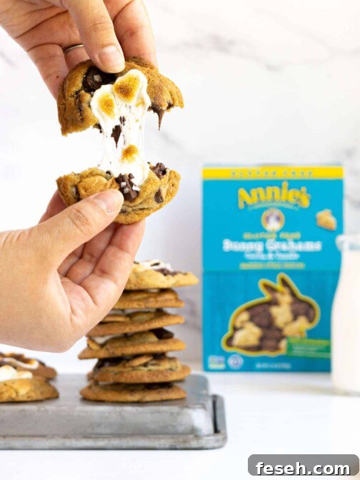 Two hands pulling apart a melty marshmallow s'mores cookie.