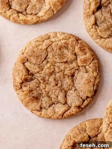A chewy snickerdoodle cookie made with sourdough discard.