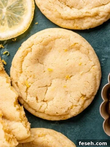 A soft lemon sugar cookie with lemon zest.