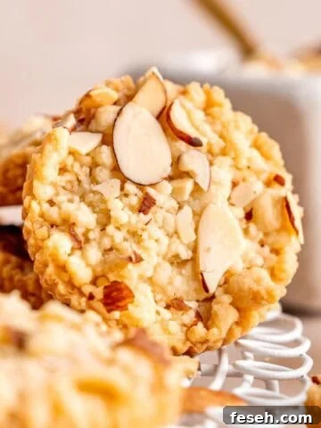 A shortbread cookie with almond filling and sliced almonds on top.