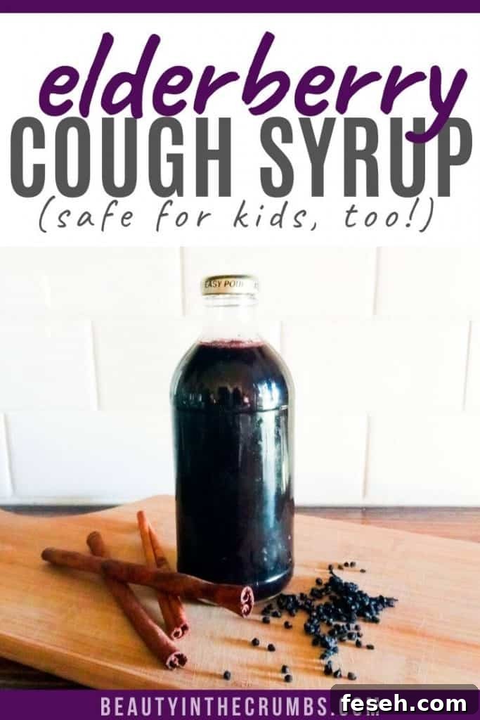 elderberry syrup home remedy for colds recipe