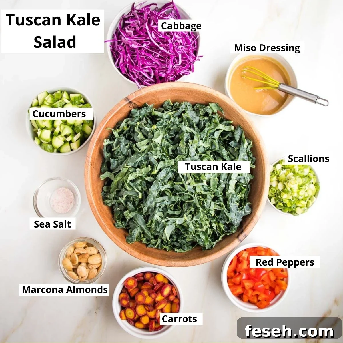 Tuscan Kale Salad Ingredients Labeled: tuscan kale, cabbage, miso dressing, scallions, red peppers, sarrots, marcona almonds, salt, cucumber.