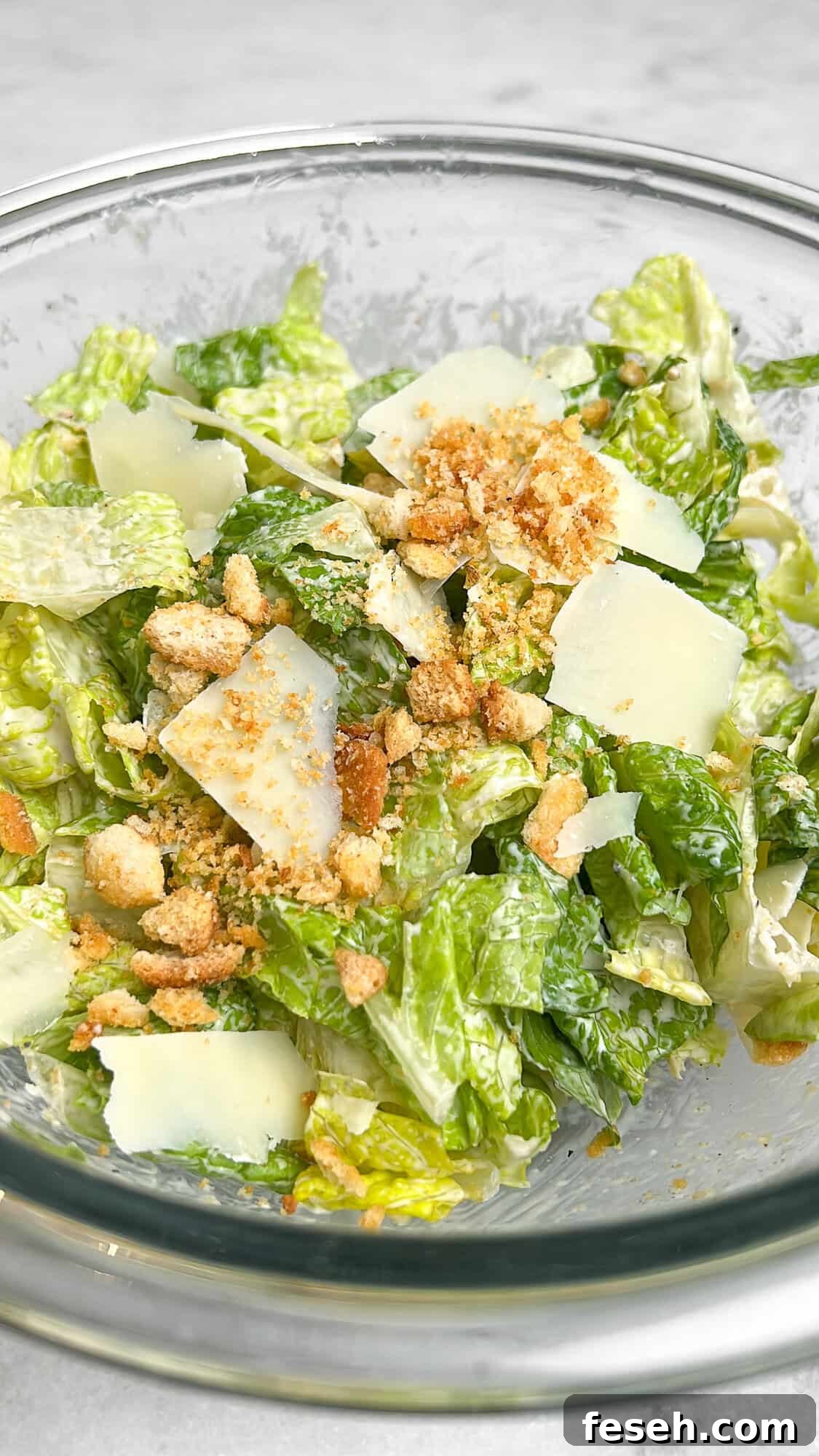 chicken caesar salad sandwich