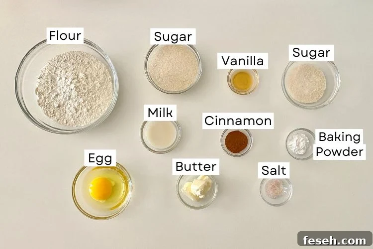 Cinnamon Sugar Cookies Ingredients