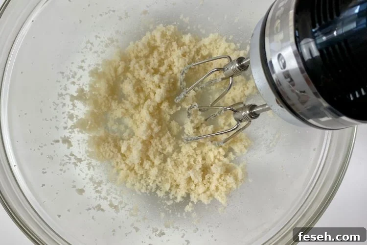 How To Make Cinnamon Sugar Cookies