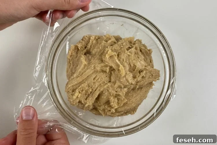 Cinnamon Sugar Cookies Soft